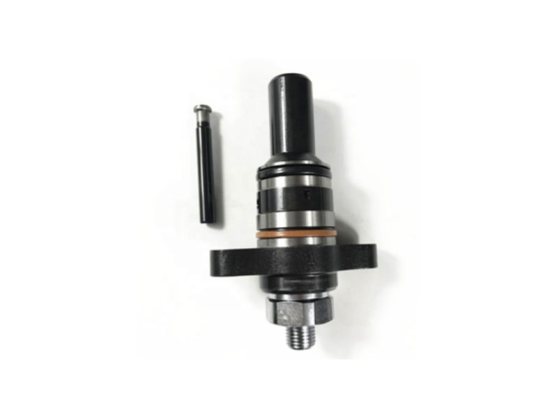 Diesel Plunger 2418455309